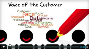Voice of the Customer and CTQ