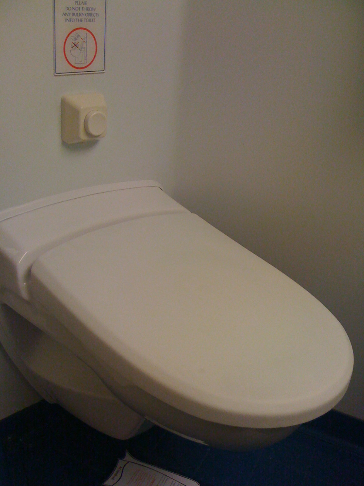 Toilet Seat Down Or Up