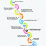 Infographic: A Timeline of the Six Sigma Evolution